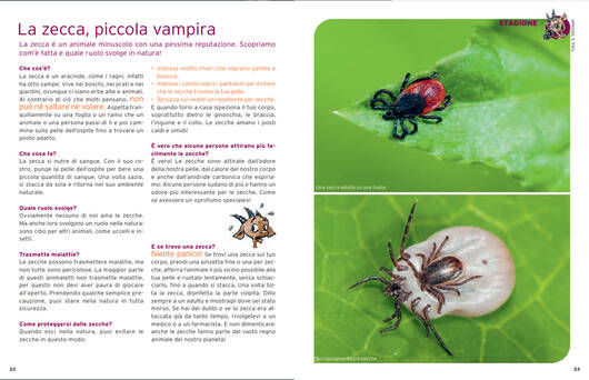 articolo stagionale © Pro Natura