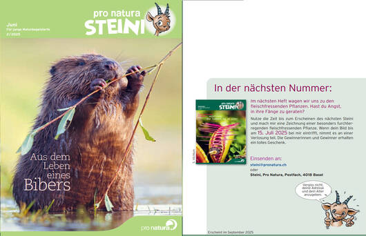 Titelbild letzte Seite © Pro Natura