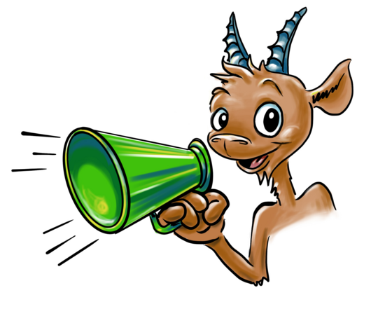 Steini Megaphone