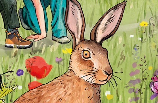 Illustration eines Feldhasen