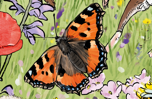 Illustration eines Kleinen Fuchses