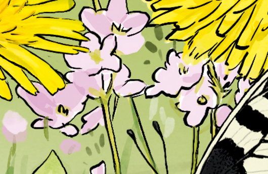 Illustration von Wiesen-Schaumkraut