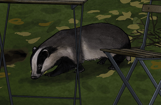 Illustration von einem Dachs