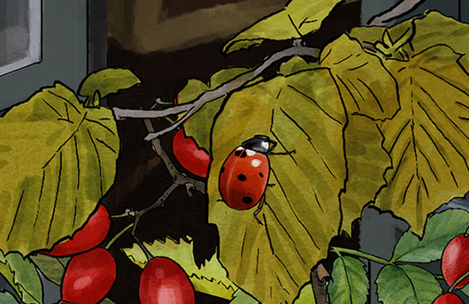 Illustration von einem Siebenpunkt-Marienkäfer