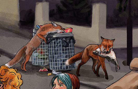 Illustration von Rotfüchsen