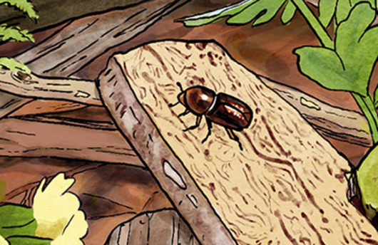 Illustration eines Grossen Buchdruckers