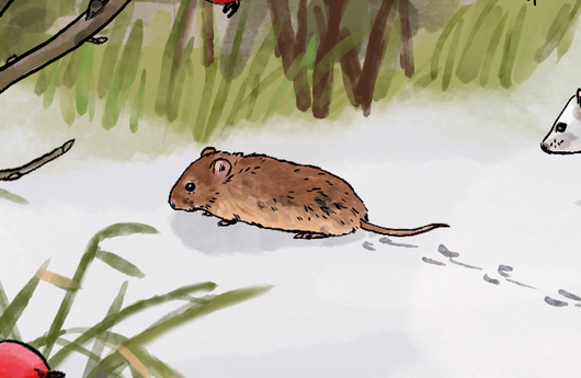 Illustration einer Feldmaus