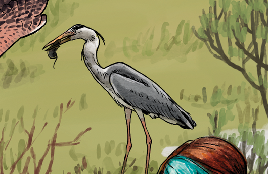 Illustration eines Graureiher