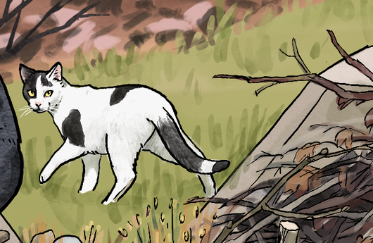 Illustration einer Hauskatze