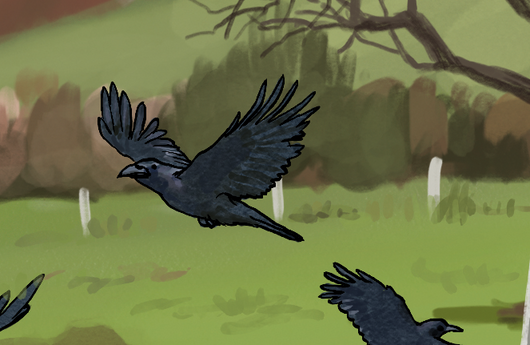 Illustration einer Rabenkrähe