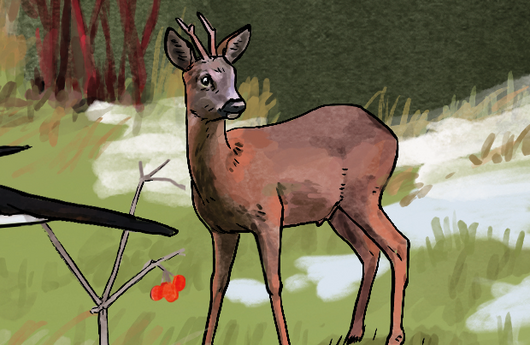Illustration eines Rehs