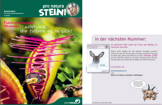 Titelbild letzte Seite © Pro Natura