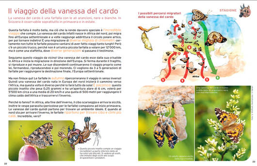 articolo stagionale © Pro Natura