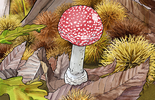 Illustration von einem Fliegenpilz
