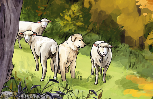Illustration einer Schafherde mit Herdenschutzhund