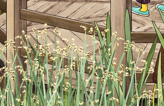 Illustration von See-Flechtbinsen