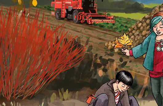 Illustration von einer Purpur-Weide