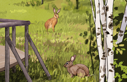 Illustration von Feldhasen