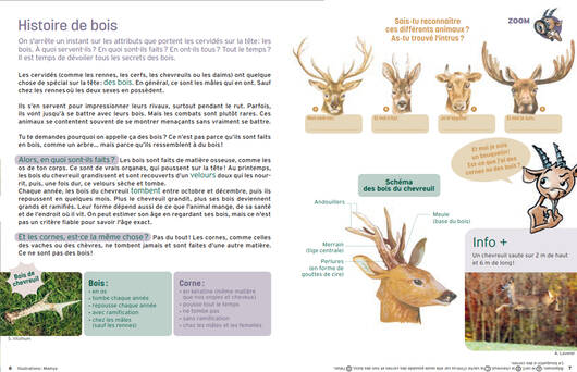 Les pages Zoom © Pro Natura