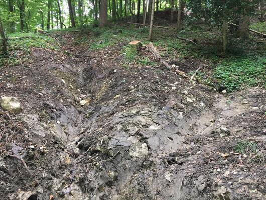 Quellaufwertung der Quelle "Schweini"