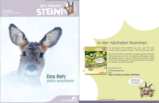 Titelbild letzte Seite © Pro Natura