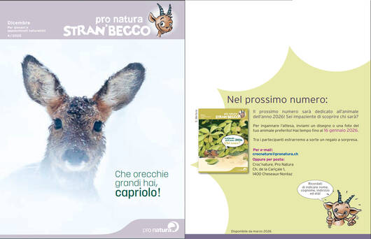 Copertina @ Pro Natura