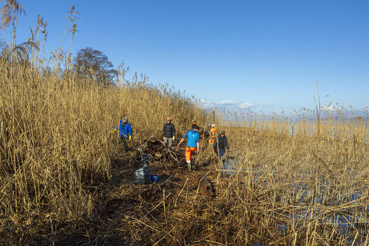 bénévoles nettoyant la réserve