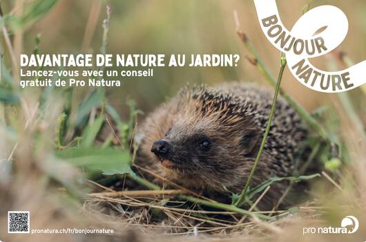 Annonce bouchon Pro Natura BONJOUR NATURE Herisson
