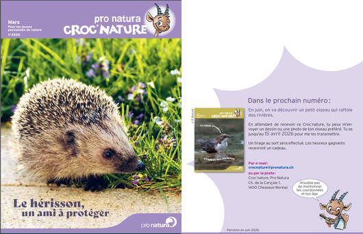 page titre © Pro Natura