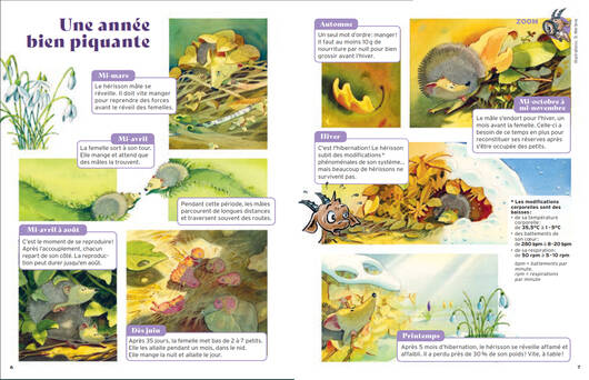 Les pages Zoom © Pro Natura