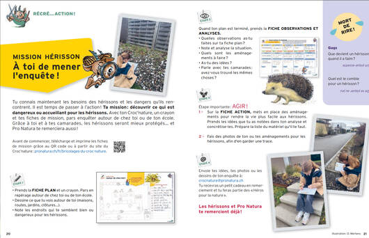 bricolage @ Pro Natura