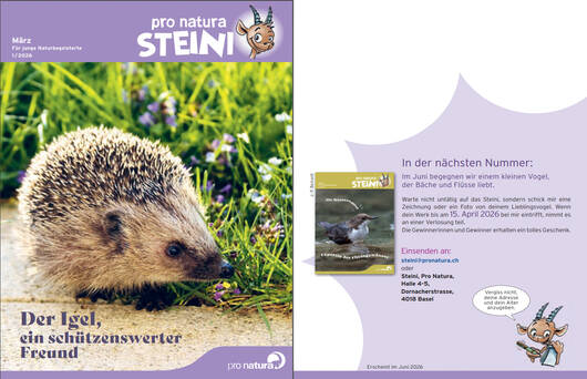 Titelbild letzte Seite © Pro Natura