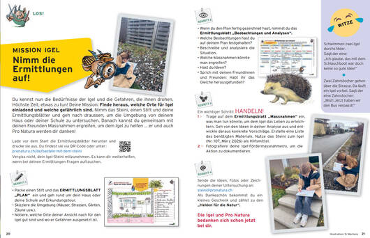 basteln © Pro Natura