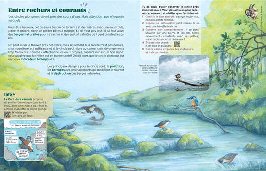 Les pages Zoom © Pro Natura