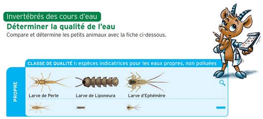 Détérminer qualité d'eau Pro Natura