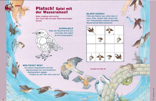 spiele @ Pro Natura
