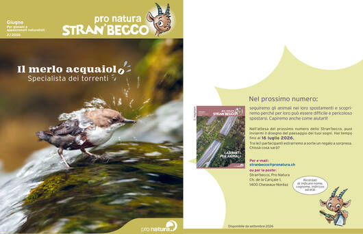 Copertina @ Pro Natura