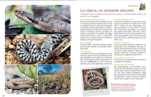 articolo stagionale © Pro Natura