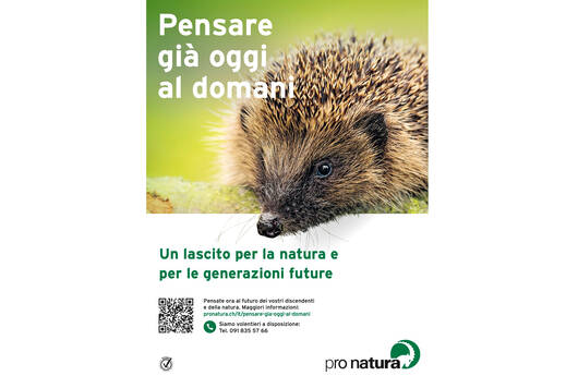 Annunci «riccio» di Pro Natura