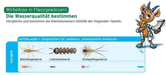 Wasserqualität bestimmen Pro Natura