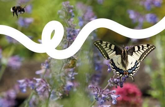Naturgarten Pro Natura