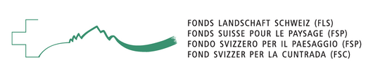 Logo FLS
