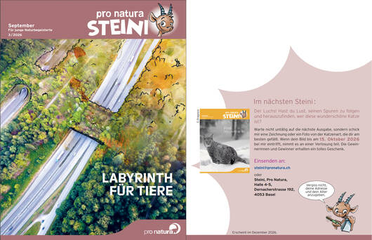 Titelbild letzte Seite © Pro Natura