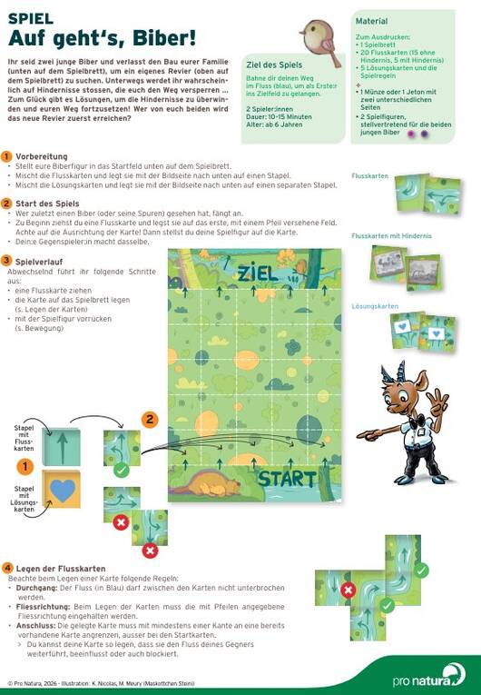 Spiel Steini Biber Pro Natura 