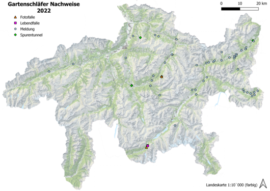 Gartenschläfernachweise 2022