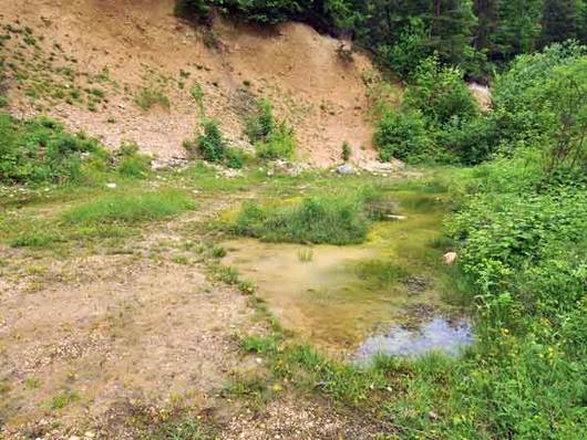 Lebensraum der Geburtshelferkröte