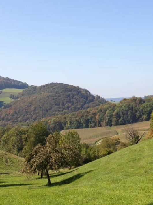 Pro Natura – per biotipi variegati! © Christoph Oeschger