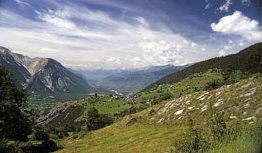 Wildbienen brauchen vielfältige Landschaften, wie hier an der Lötschberg Südrampe.