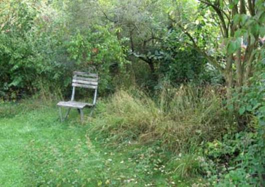 Un giardino «selvatico» e in armonia con la natura è assai apprezzato dagli apoidei.  © M. Sorg