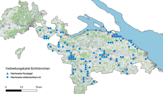 Verbreitung des Eichhörnchens im Thurgau